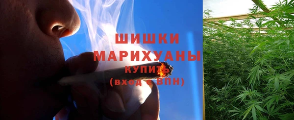 сатива Богородск