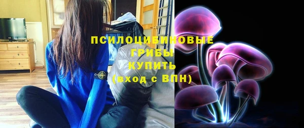 МДПВ Богданович