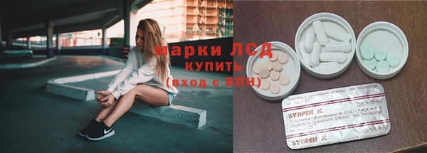 сатива Богородск