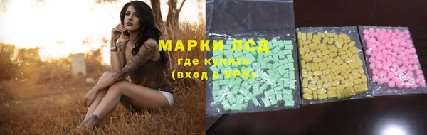 стафф Богородицк